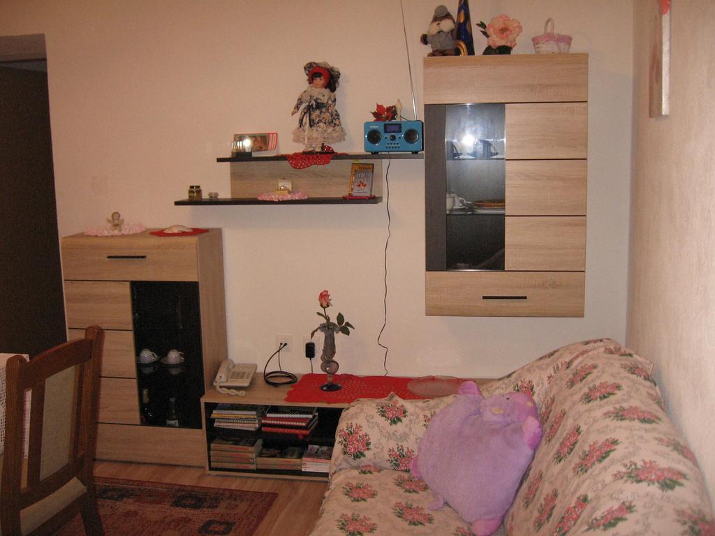 Apartments Alen Пазин Екстериор снимка